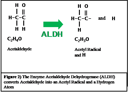 acetaldehyde metabolism